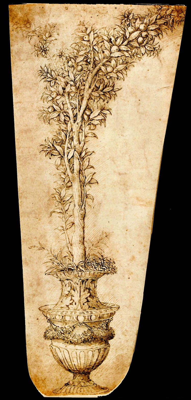 橙色花瓶 Vase with Orange (1490),安德烈亚·曼特尼亚