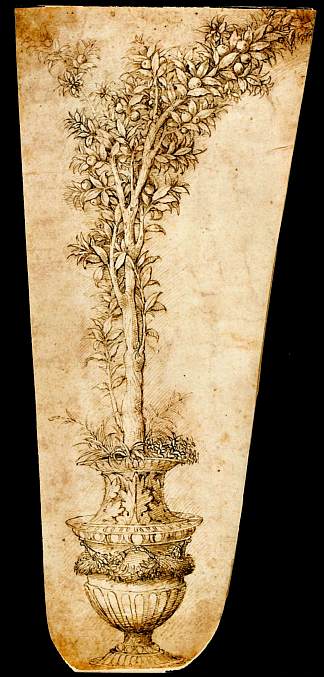 橙色花瓶 Vase with Orange (1490)，安德烈亚·曼特尼亚