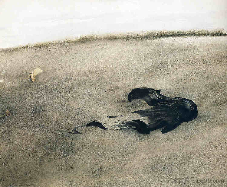 无题 Untitled,安德鲁·怀斯