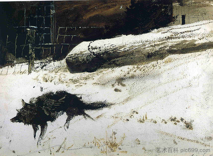 野狗（土拨鼠日学习） Wild Dog (study for groundhog day)，安德鲁·怀斯