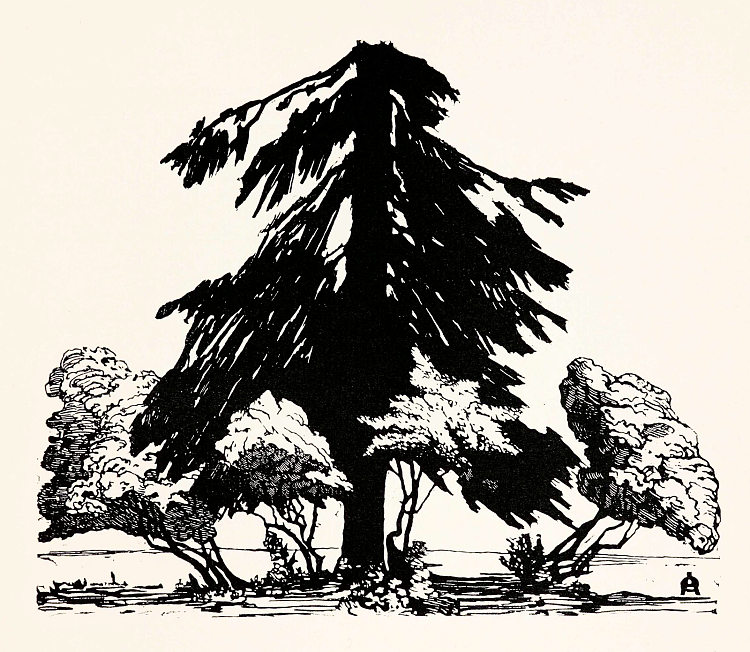 松树 Pine tree (1902; Russian Federation  )，安娜·奥斯特鲁维亚