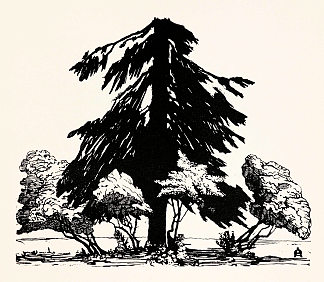 松树 Pine tree (1902; Russian Federation                     )，安娜·奥斯特鲁维亚