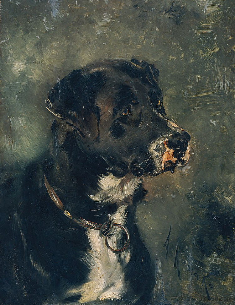 屠夫狗的头 Head of a butcher's dog (c.1880 - c.1882)，安东·罗马科