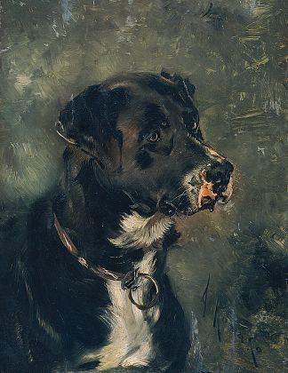 屠夫狗的头 Head of a butcher’s dog (c.1880 – c.1882)，安东·罗马科