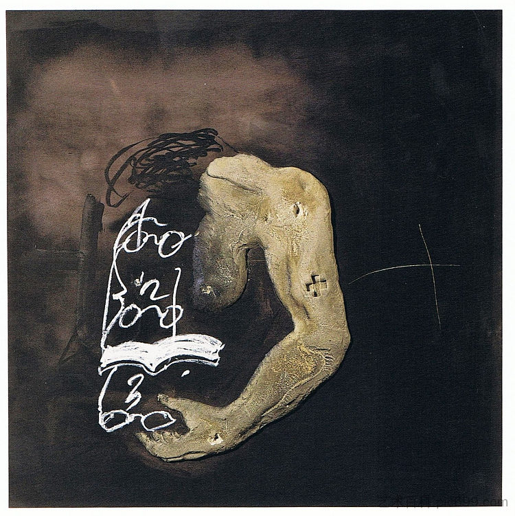 读数 Lectura (1998)，安东尼·塔皮埃斯