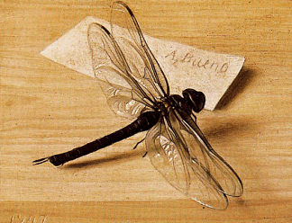 静物画。蜻蜓1947 Still Life. Dragonfly 1947，安东尼奥·布埃诺
