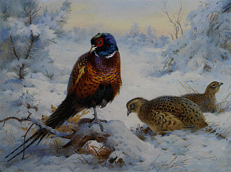 冬天的公鸡和母鸡野鸡 Cock and Hen Pheasant in Winter (1926)，阿奇博尔德·索伯尔尼