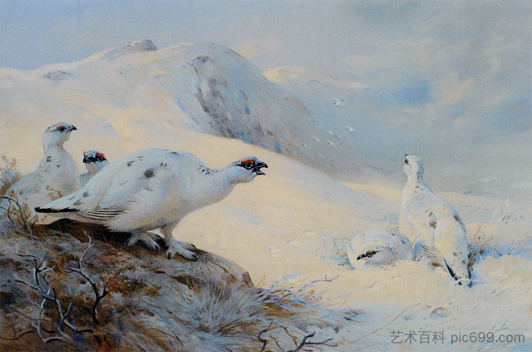 雷鸟在雪地里呼唤 Ptarmigan Calling in the Snow (1926),阿奇博尔德·索伯尔尼
