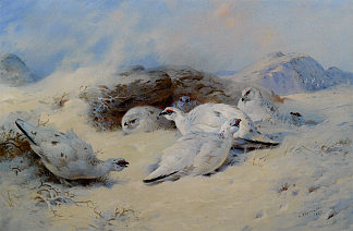 雷鸟寻求庇护 Ptarmigan Seeking Shelter (1927)，阿奇博尔德·索伯尔尼