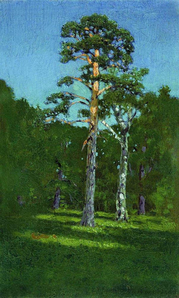 松 Pine (1878),阿尔希普·昆吉
