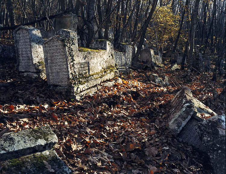 卡拉伊姆公墓 Karaim Cemetery (2001)，阿尔森·萨瓦多夫