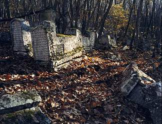 卡拉伊姆公墓 Karaim Cemetery (2001)，阿尔森·萨瓦多夫