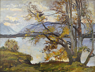 景观 Paisagem，亚瑟·尼西奥