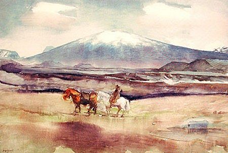 海龟山 Mt. Skjaldbreiður (1922)，阿什格里穆琼森