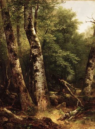 景观（桦树和橡树） Landscape (birch and Oaks)，亚瑟·布朗·杜兰德