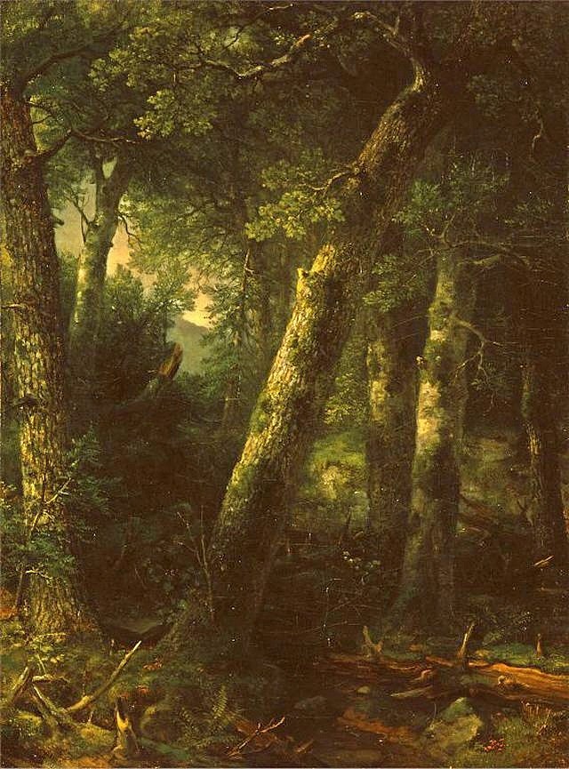 晨光中的森林 Forest in the Morning Light，亚瑟·布朗·杜兰德