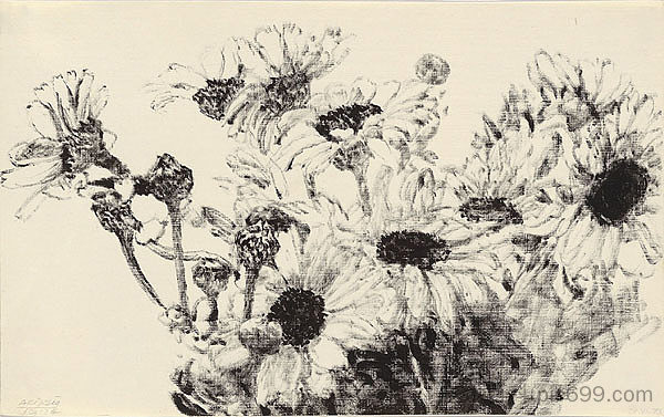 雏菊 Daisies (1973)，阿维格多·阿里哈