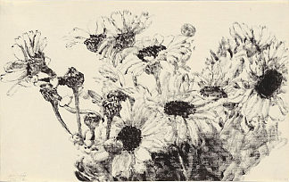 雏菊 Daisies (1973)，阿维格多·阿里哈