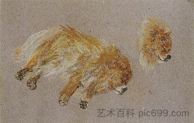 睡狗的两项研究 Two Studies of Sleeping Dog (1987)，阿维格多·阿里哈