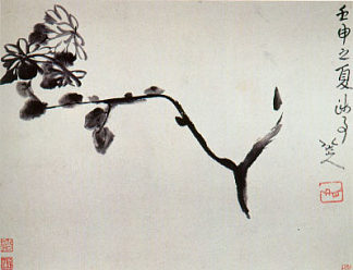菊花 Chrysantheme (1692)，八达山人