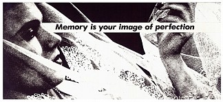 无题（记忆是你完美的形象） Untitled (Memory is your image of perfection)，巴巴拉·克鲁格
