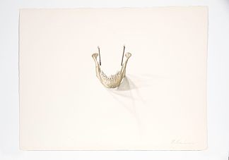 驴的颚骨 Jawbone of An Ass (1979)，巴克利·亨德里克斯
