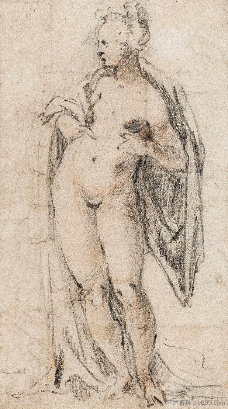 女性裸体研究（帷幔中的维纳斯） Study of a Female Nude (Venus in a Drapery) (c.1605)，巴塞洛缪斯·斯普兰格