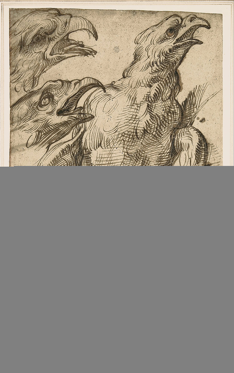 研究一只鹰 Study of An Eagle (c.1575 - c.1580)，巴尔托洛梅奥·帕塞罗蒂