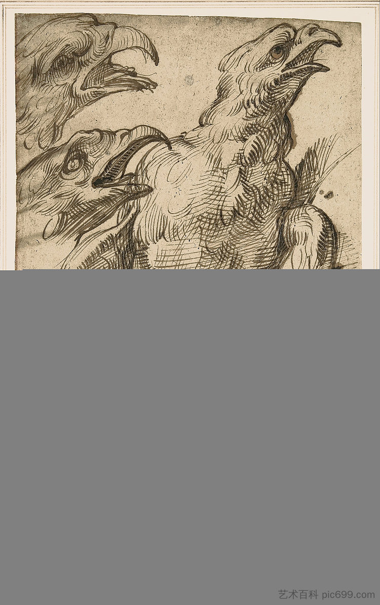 研究一只鹰 Study of An Eagle (c.1575 - c.1580),巴尔托洛梅奥·帕塞罗蒂