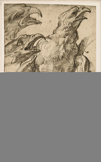 研究一只鹰 Study of An Eagle (c.1575 – c.1580)，巴尔托洛梅奥·帕塞罗蒂