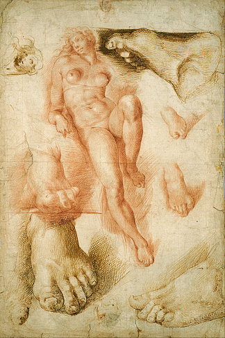 复制米开朗基罗的极光 Copy After Michelangelo’s Aurora (c.1550)，巴尔托洛梅奥·帕塞罗蒂