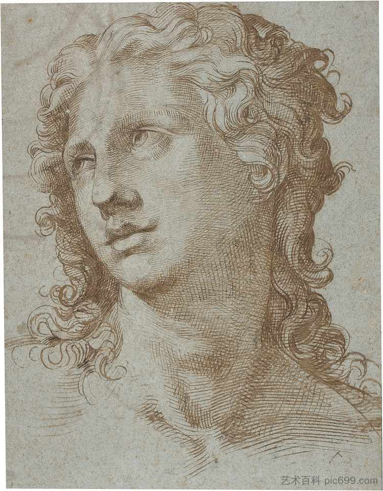 男头 Male Head (c.1560 - c.1570),巴尔托洛梅奥·帕塞罗蒂