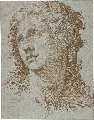 男头 Male Head (c.1560 – c.1570)，巴尔托洛梅奥·帕塞罗蒂