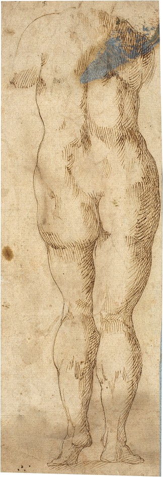 从后面看带有女性裸体的雕像的复制品 Copy of a Statue with A Female Nude From Back (c.1550)，巴尔托洛梅奥·帕塞罗蒂