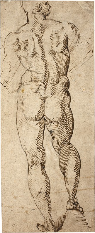 男性裸体 Male Nude (c.1550)，巴尔托洛梅奥·帕塞罗蒂