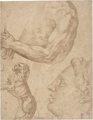 图研究 Figure Studies (c.1560 – c.1570)，巴尔托洛梅奥·帕塞罗蒂