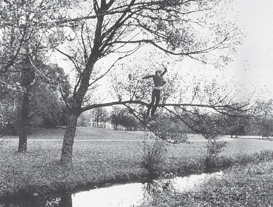 破碎的秋天(有机) Broken Fall (Organic) (1971),巴斯扬德