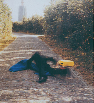 通往新塑性主义的陷阱，荷兰韦斯卡佩尔 Pitfall on the way to a new Neo-Plasticism, Weskapelle, Holland (1971)，巴斯扬德