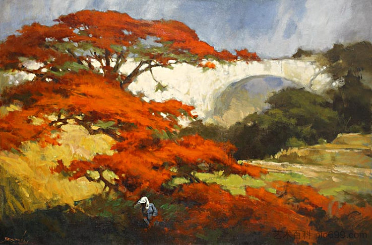 森林的火焰（华丽） The Flame of the Forest (Flamboyant)，巴苏基阿卜杜拉