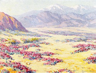 加州沙漠野花与远处的山脉 California Desert Wildflowers with Mountains Beyond，本杰明布朗