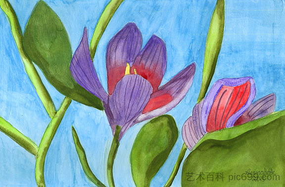 番红花 Crocus (2015)，伯纳黛特·雷莎