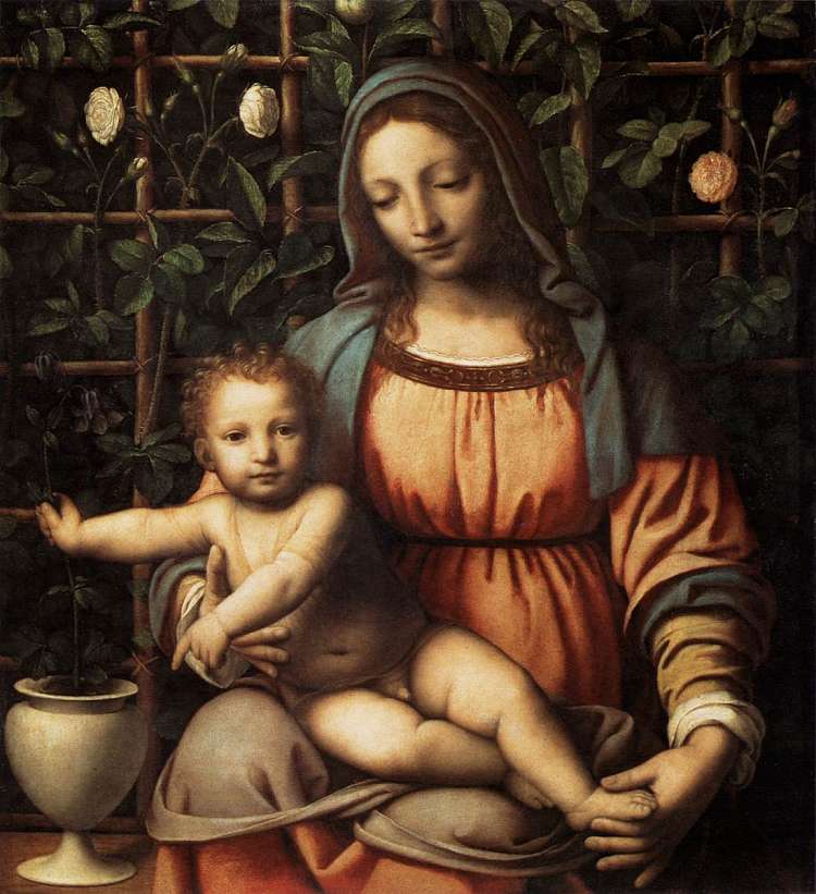 玫瑰丛的麦当娜 Madonna of the Rose-bush (c.1510; Italy  )，贝纳迪诺·卢伊尼