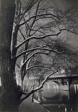 码头的树木与新桥 Les arbres des quais avec le Pont-Neuf (1945)，布拉赛