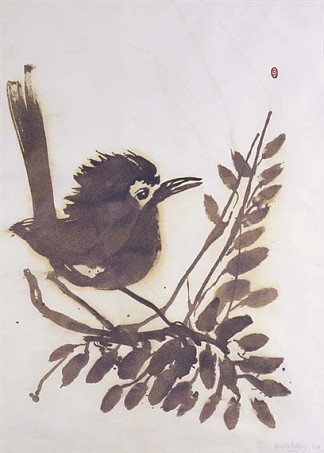 鹪鹩 Wren，布雷特·怀特利