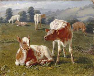 草地上的小牛 Calves in a Meadow (1864)，布里顿·里维尔