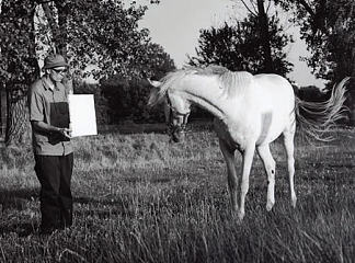 无题（马）， 隐形绘画/能量 Untitled (Horse), Invisible Painting/Energy (2003)，布鲁诺·雅各布