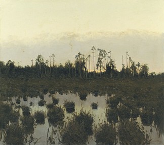 晚上在苔原。1893 Вечер в Тундре. 1893 (1893)，维托尔德·比亚林茨基-比鲁利亚