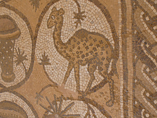 佩特拉教堂马赛克中的长颈鹿 Giraffe in the Church Mosaic at Petra (c.450 – c.550)，拜占庭马赛克