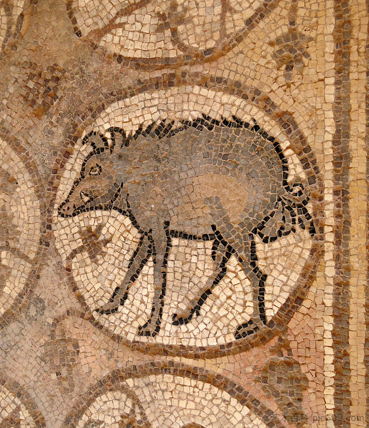 佩特拉拜占庭教堂北过道地板上的野猪马赛克 Mosaic of a Wild Boar on the Northern Aisle Floor of the Byzantine Church of Petra (c.450 - c.550)，拜占庭马赛克