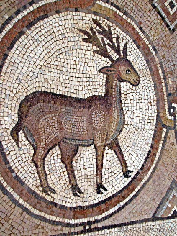 佩特拉教堂的鹿马赛克 Mosaic of Deer in Petra Church (c.450 - c.550)，拜占庭马赛克